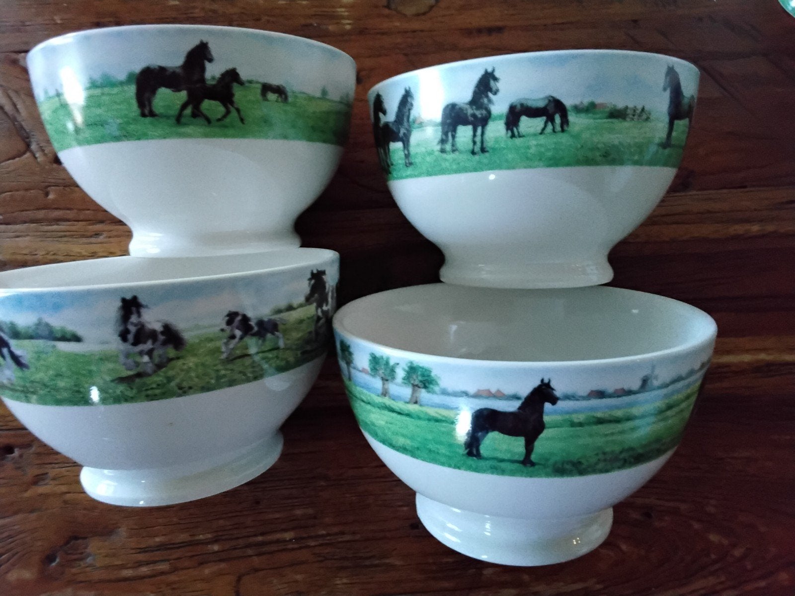 Wiebe van der Zee Servies, Ophalen, Overige merken, Landelijk/Boerenbont, Zo goed als nieuw