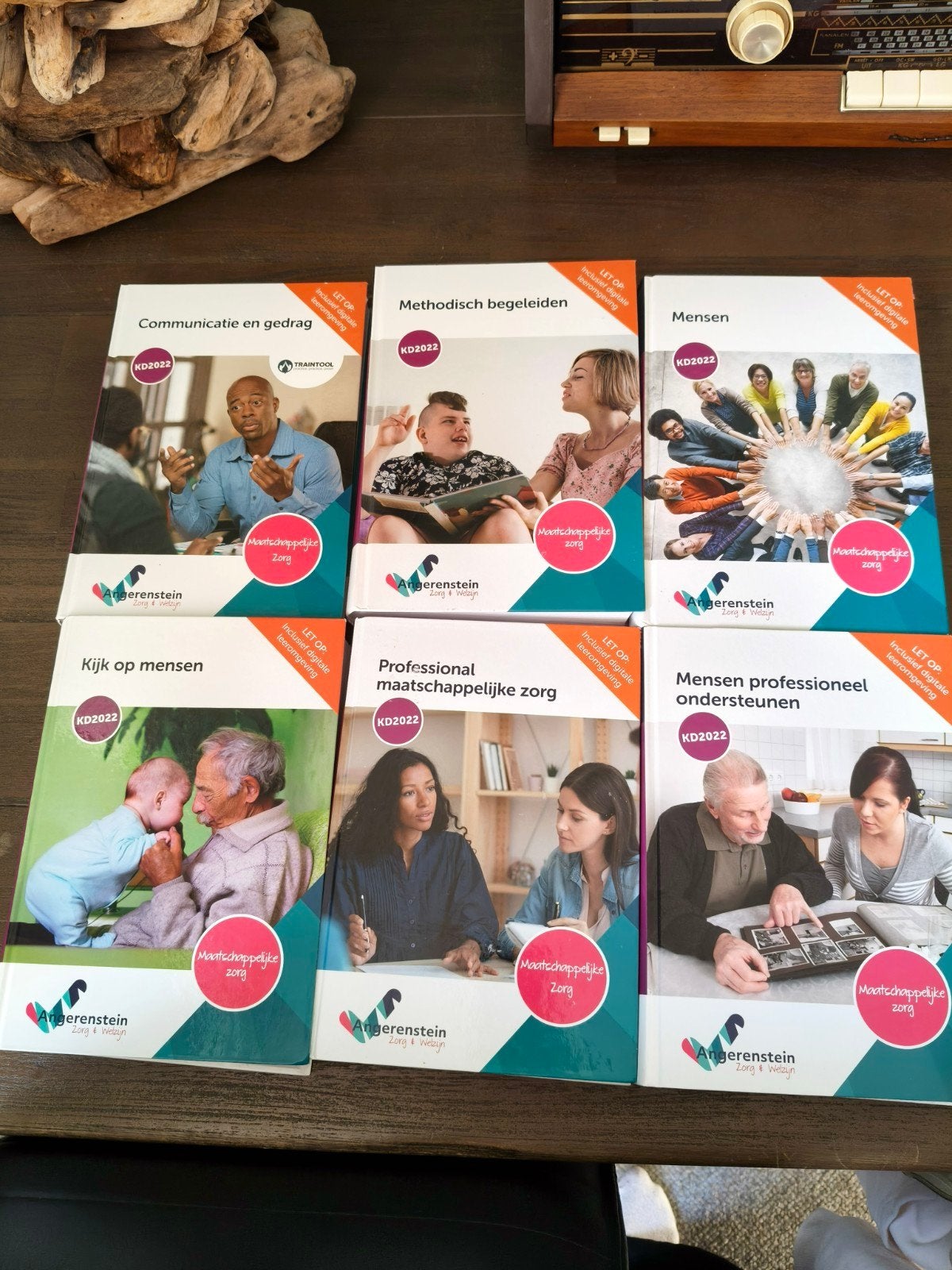 Schoolboeken Persoonlijk Begeleider Maatschappelijke Zorg, Ophalen