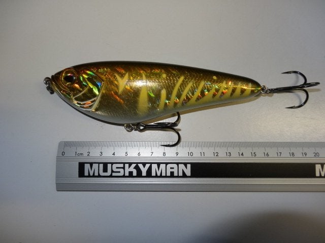 Kunstaas: Shimano Yasei JJ 160 Slow Sinking Jerkbaits, Watersport en Boten, Verzenden, Gebruikt, Overige typen