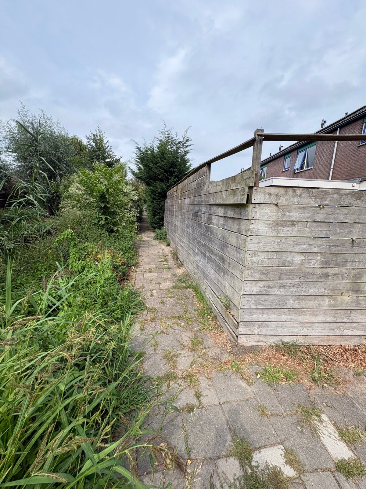 Gratis af te halen schutting planken, Tuin en Terras, Ophalen, 6 meter of meer, Hout, 1 tot 2 meter