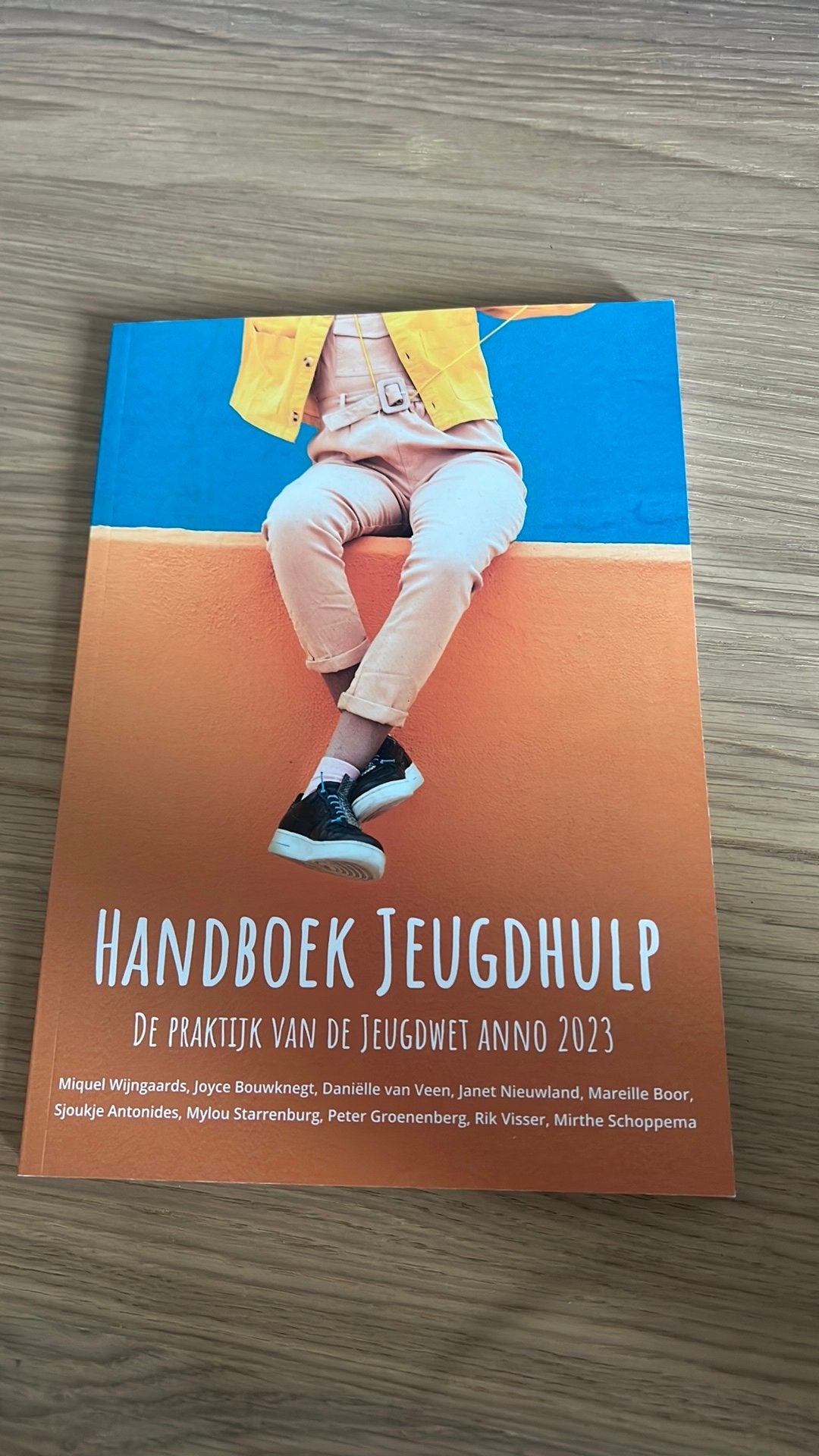 Miquel Wijngaards - Handboek Jeugdhulp, Ophalen of Verzenden, Zo goed als nieuw, Miquel Wijngaards; Mareille Boor; Joyce Bouwknegt; Janet Nieu...