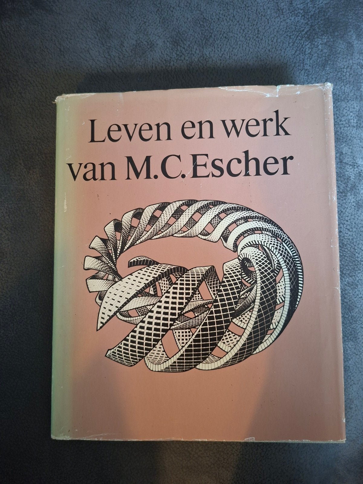 Leven en werk van M.C. Escher, Ophalen of Verzenden, Overige onderwerpen, M.C. Escher