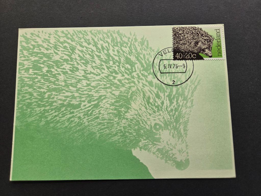 Maxi kaart Egel 1976 maatschappij en milieu, Postzegels en Munten, Ophalen of Verzenden