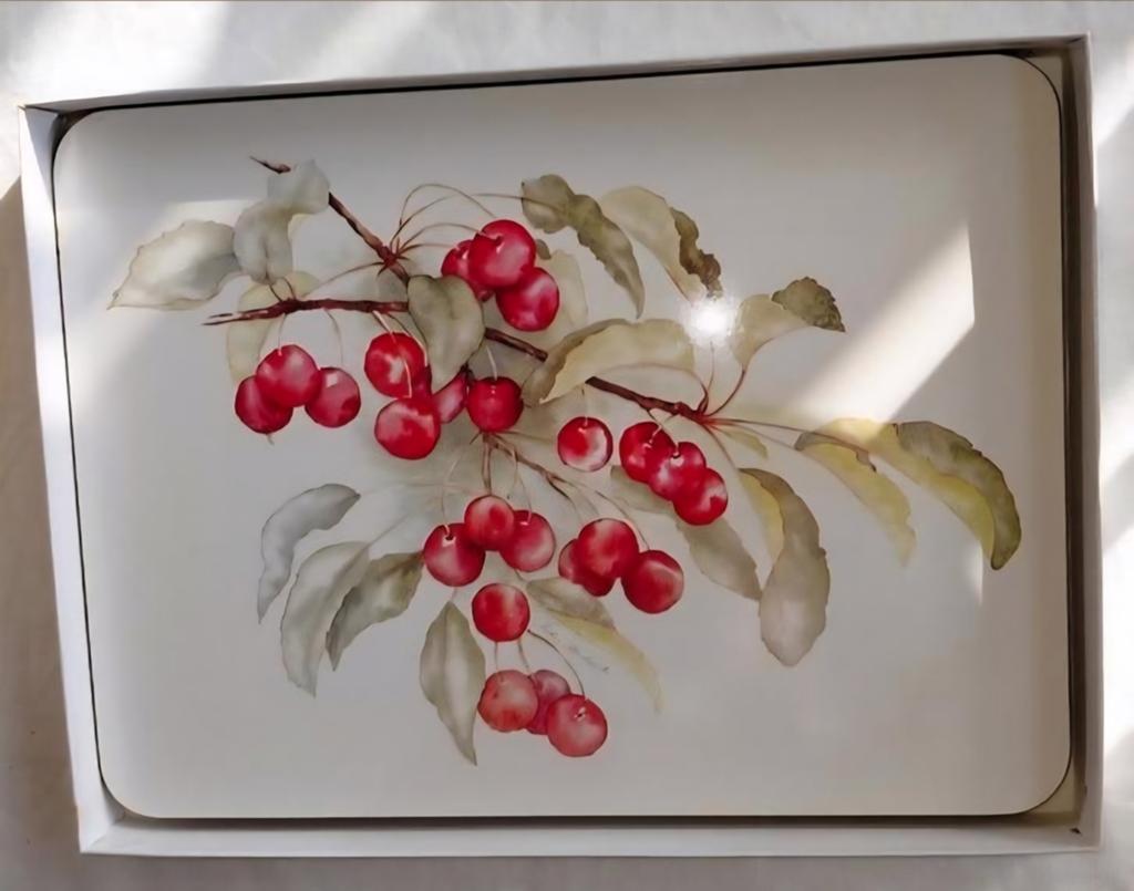 Placemats onderzetters fruit Jason Collection New Zeeland, Huis en Inrichting, Ophalen of Verzenden, Zo goed als nieuw