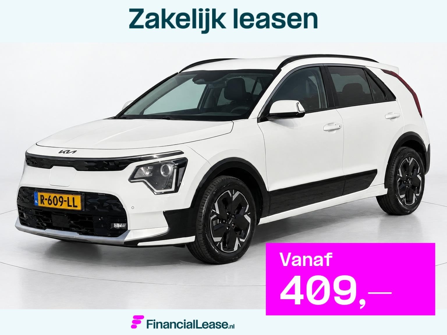 Kia Niro EV DynamicLine 64.8 kWh SOH 99,8%