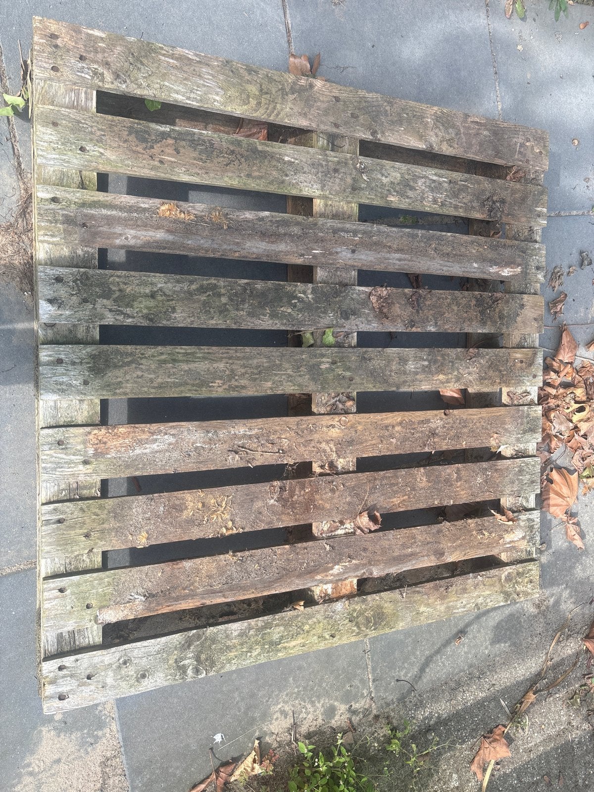 Houten Pallet - Gebruikt, Ophalen, Gebruikt, 100 cm of meer, 60 cm of meer