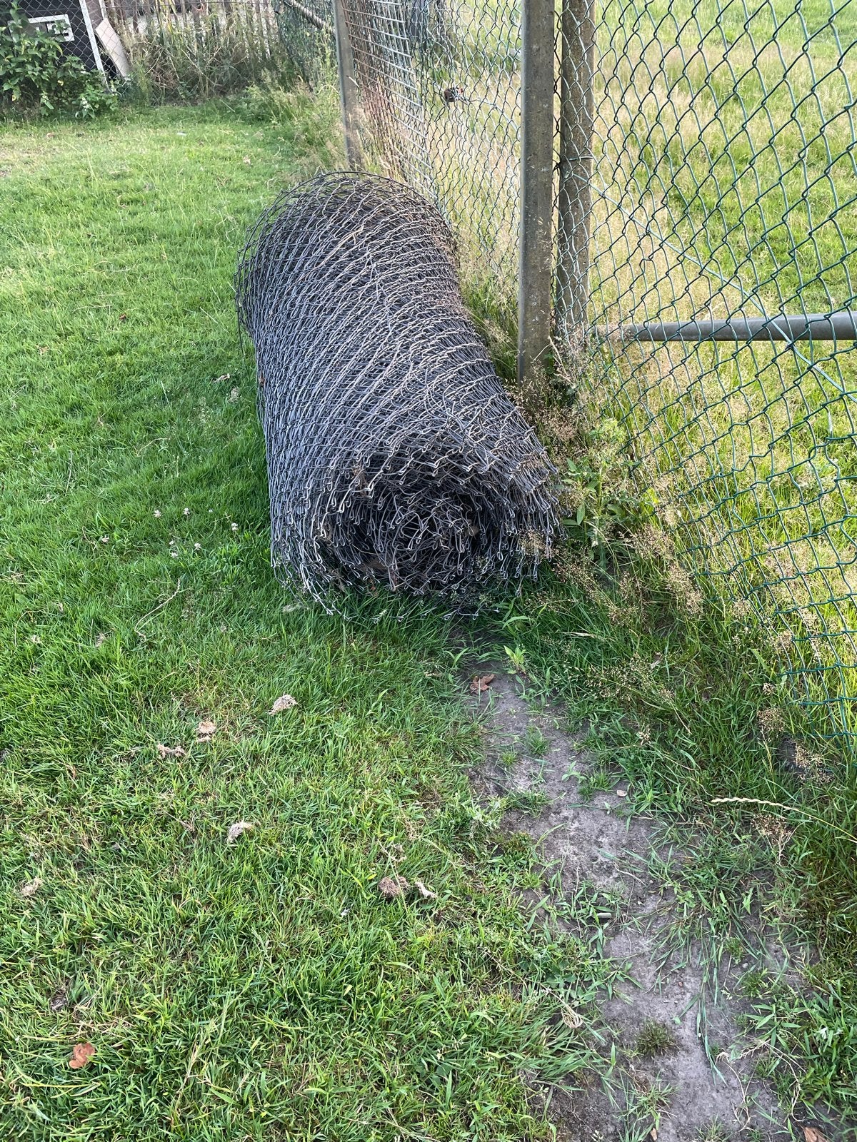 Heras afrastering met betonpalen en bovenbuis, 40m, Tuin en Terras, Ophalen, Gebruikt, Overige materialen, Gaashekwerk