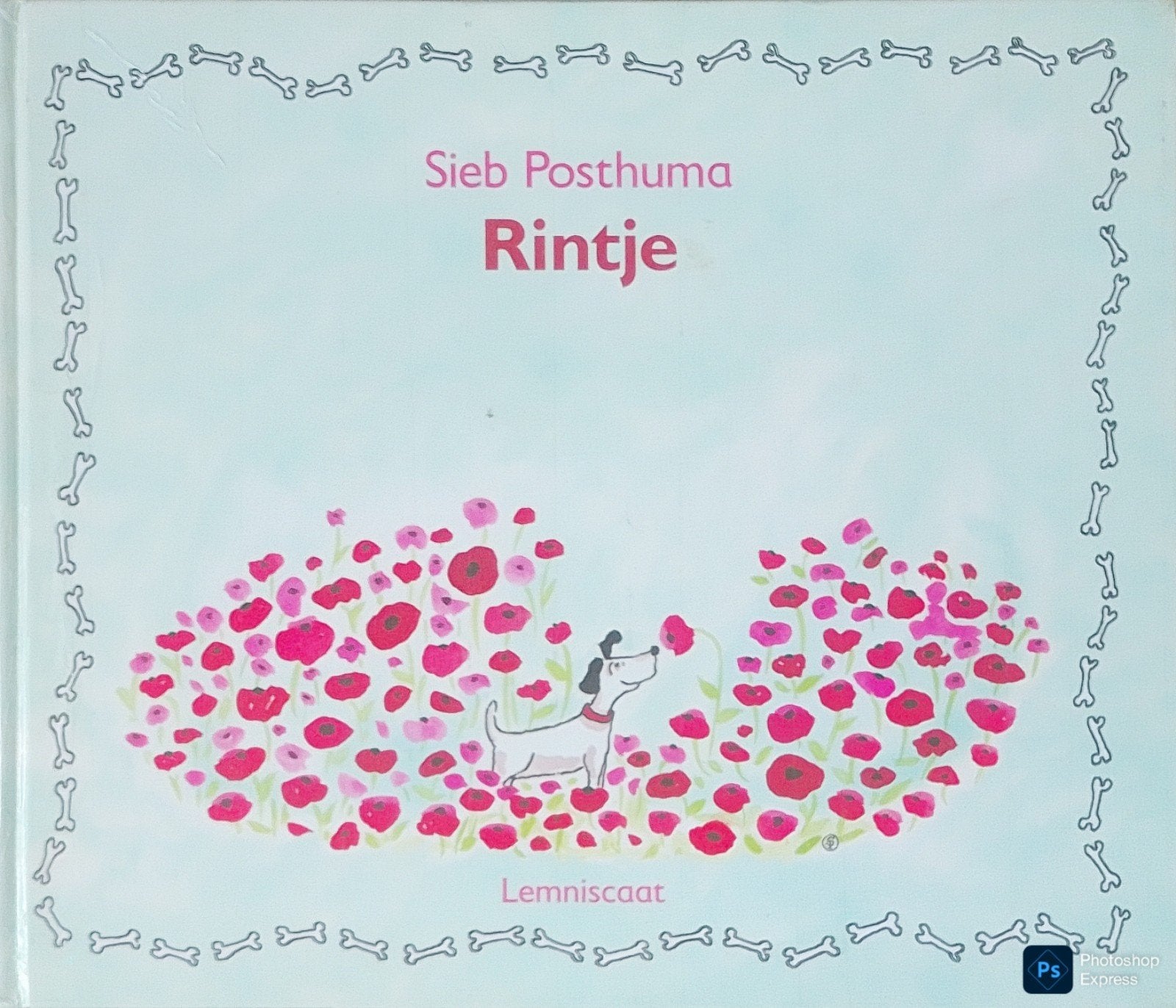 Rintje, Gelezen, Fictie algemeen, Jongen of Meisje, Sieb Posthuma.