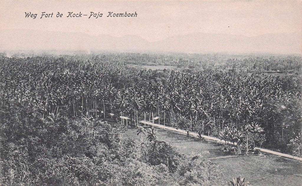 Nederlands Indië - Weg Fort de Kock Paja Koembosch (1921), Ophalen of Verzenden, 1920 tot 1940, Ongelopen, Buiten Europa