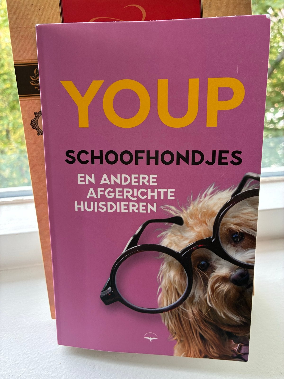 Schoofhondjes en andere afgerichte huisdieren, Ophalen of Verzenden, Nieuw, Youp van 't Hek