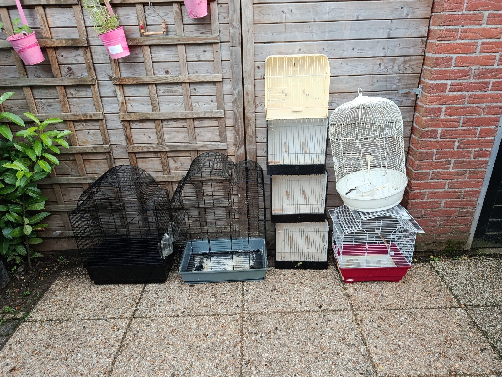Te koop, Ophalen, Hout, Vogelkooi