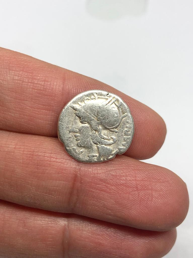 Romeinse Republiek, GENS BAEBIA AR Denarius. Rome 137 BC, Verzenden, Italië, Losse munt, Zilver