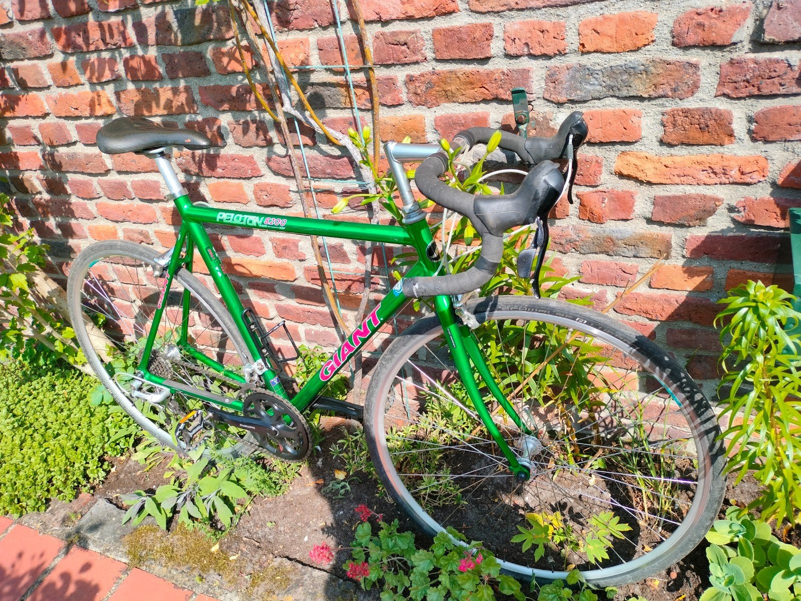 Giant peleton 8200, Ophalen, 28 inch, Gebruikt, Aluminium