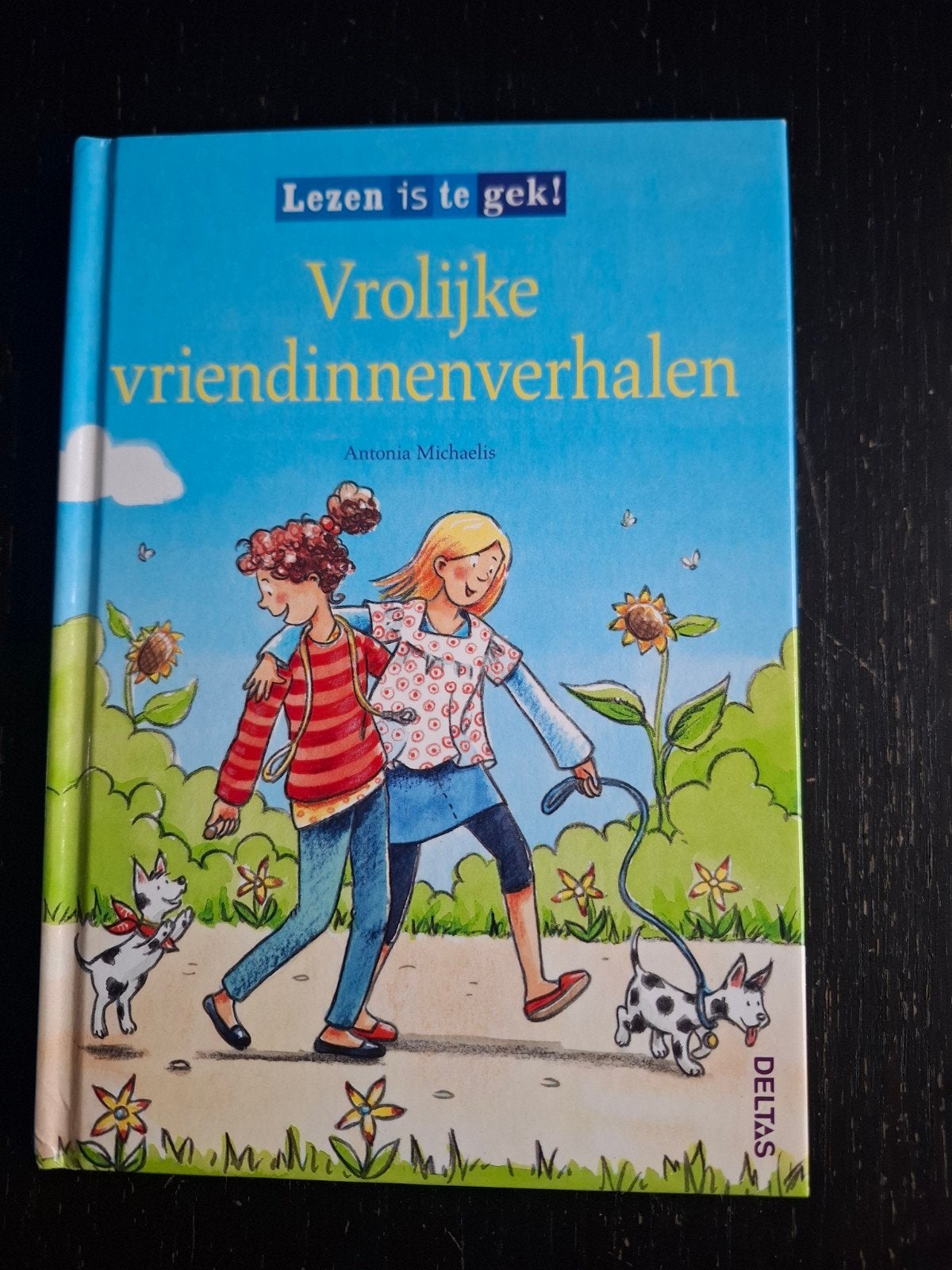 Meiden boek, Ophalen of Verzenden, Nieuw, Antonia Michaelis, Fictie algemeen