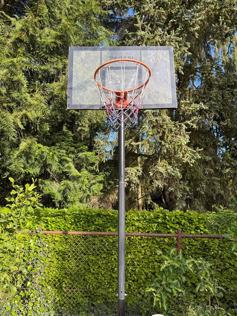 Pegasi Basketbalpaal met Bord en Ring, Sport en Fitness, Basketbal, Ophalen, Gebruikt, Ring, Bord of Paal