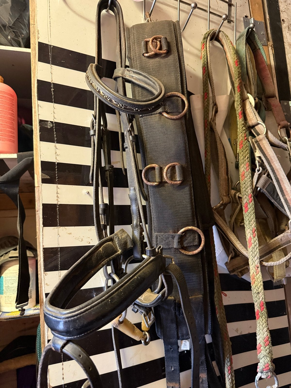 Hoofdstel full, Dieren en Toebehoren, Ophalen, Inclusief bit, Zwart, Full
