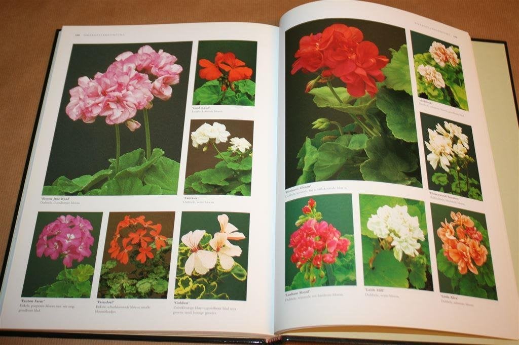 1001 Pelargoniums te kijk, Ophalen of Verzenden, Zo goed als nieuw, Natuur algemeen