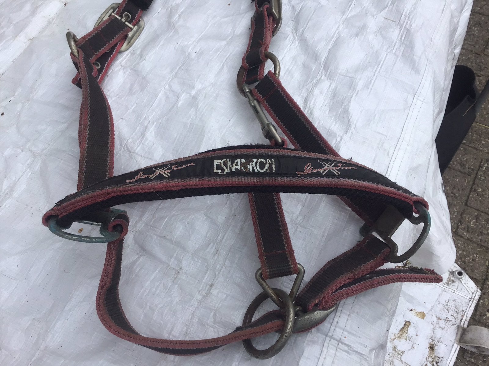 Eskadron halster full, Dieren en Toebehoren, Gebruikt, Halster, Full, Rood
