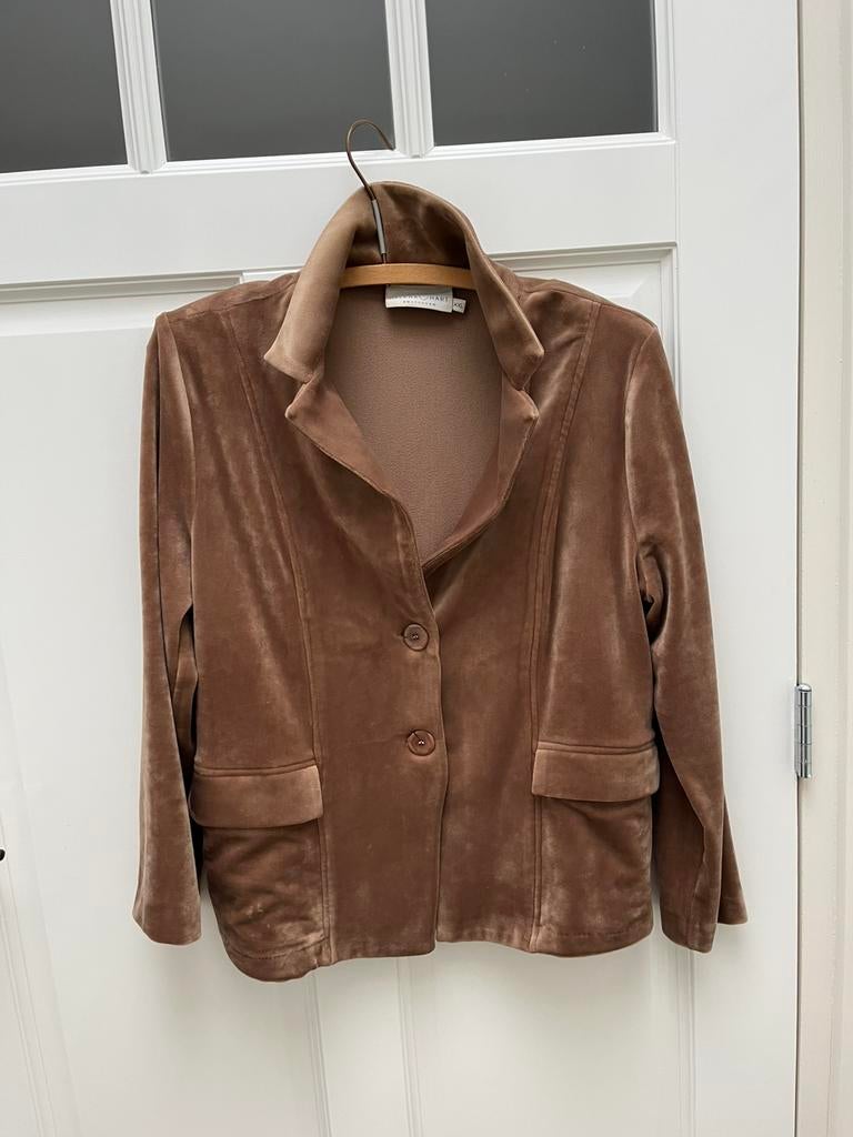 Helena Hart velours jasje maat xxl, Kleding | Dames, Bruin, Maat 46/48 (XL) of groter, Ophalen of Verzenden, Zo goed als nieuw