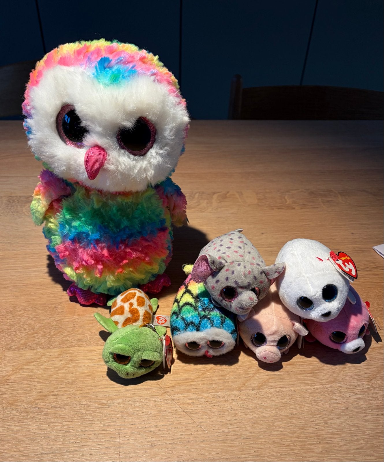 Ty beanie boo’s knuffels, Overige karakters, Overige typen, Ophalen of Verzenden, Meerkleurig