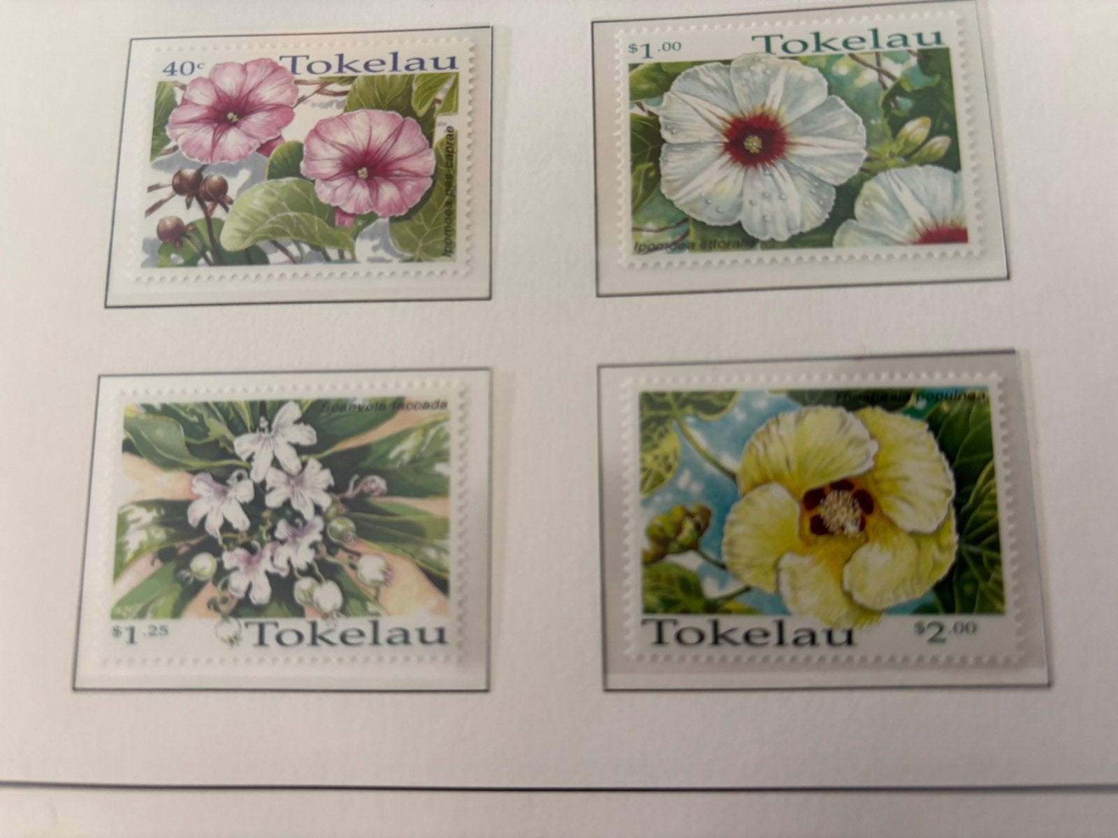Tokelau-eilanden 1998, Postzegels en Munten, Ophalen of Verzenden, Postfris