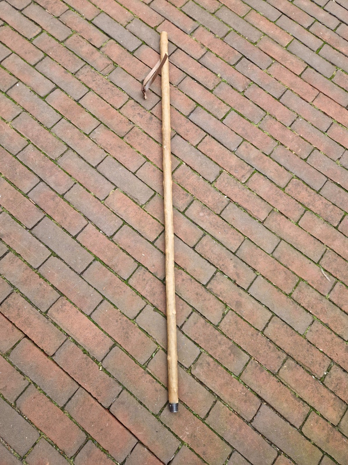 SCHOTSE WANDELSTOK, Ophalen of Verzenden, Nieuw