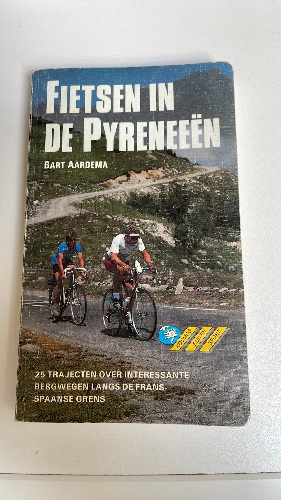 Fietsen in de Pyreneeën - Bart Adema, Boeken, Verzenden, Europa, Reisgids of -boek, Gelezen