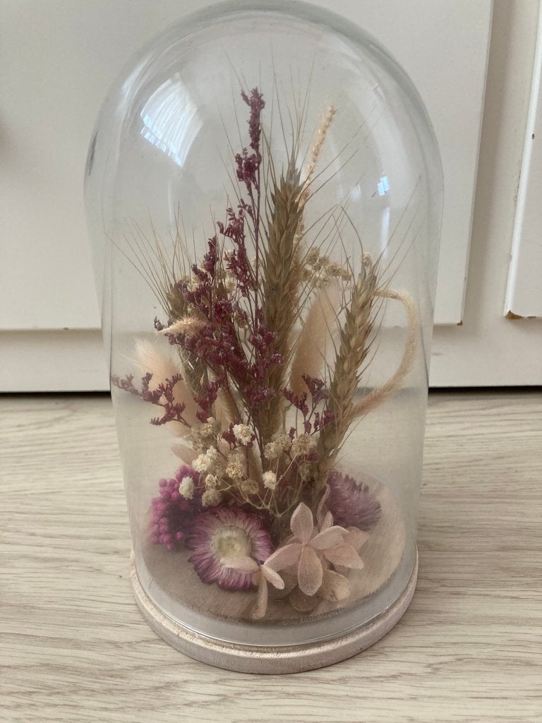 Gedroogde bloemen in een stolp, Ophalen of Verzenden, Nieuw