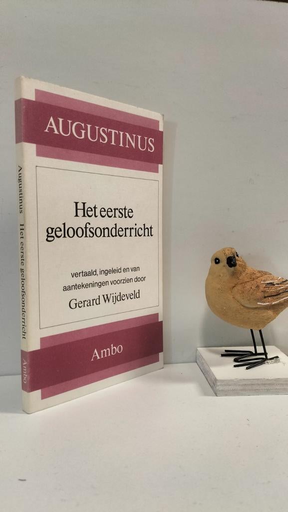 Augustinus; Het eerste geloofsonderricht, Boeken, Godsdienst en Theologie, Gelezen, Christendom | Katholiek, Christendom | Protestants