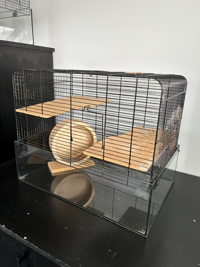 Hamster kooi, Dieren en Toebehoren, Gebruikt, Minder dan 75 cm, Ophalen, Minder dan 60 cm