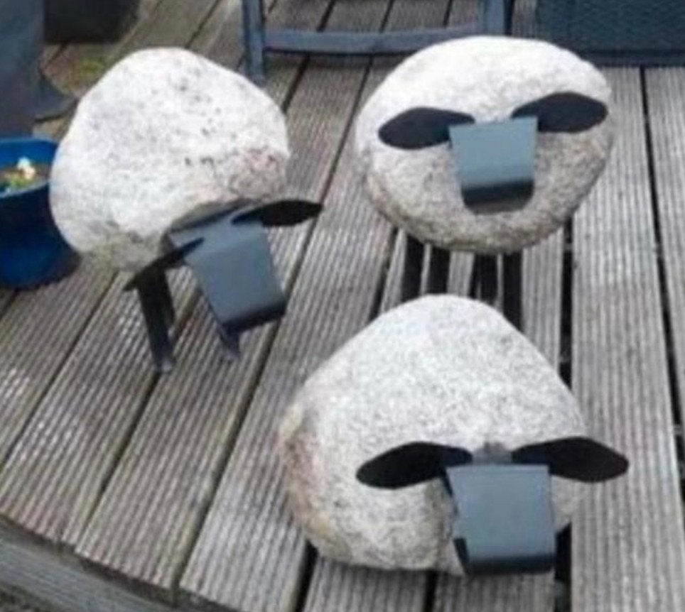 schaap kop.op.kei, Ophalen of Verzenden, Nieuw