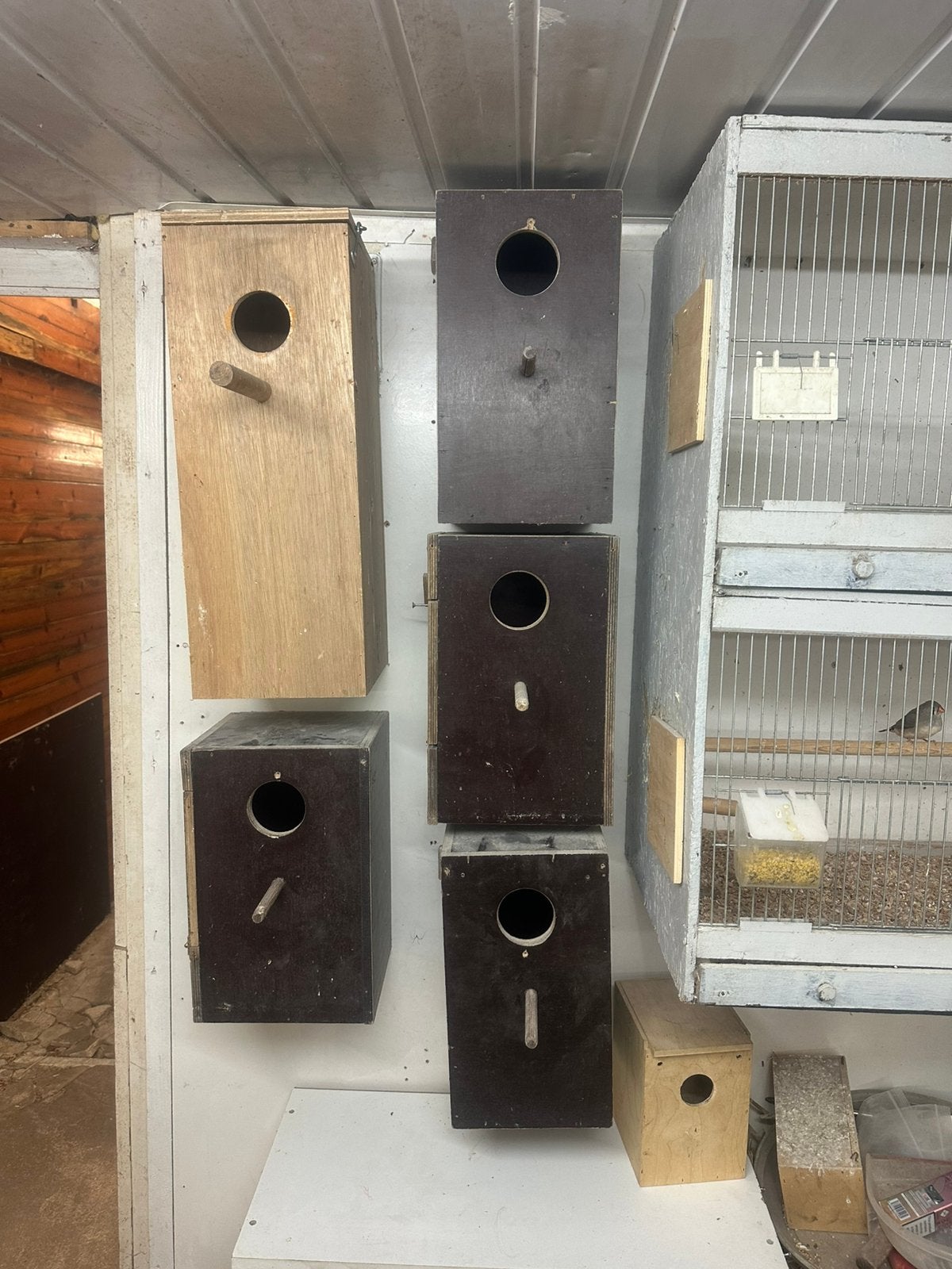 Heel veel broedblokken verschillende maten, Ophalen, Zo goed als nieuw, Hout, Broedkooi of Kweekkooi