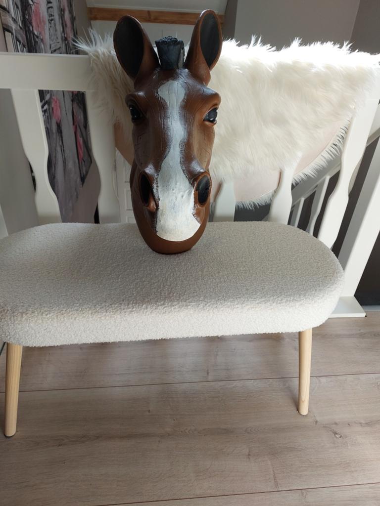 Mooi paardenhoofd ter decoratie, Ophalen of Verzenden, Zo goed als nieuw
