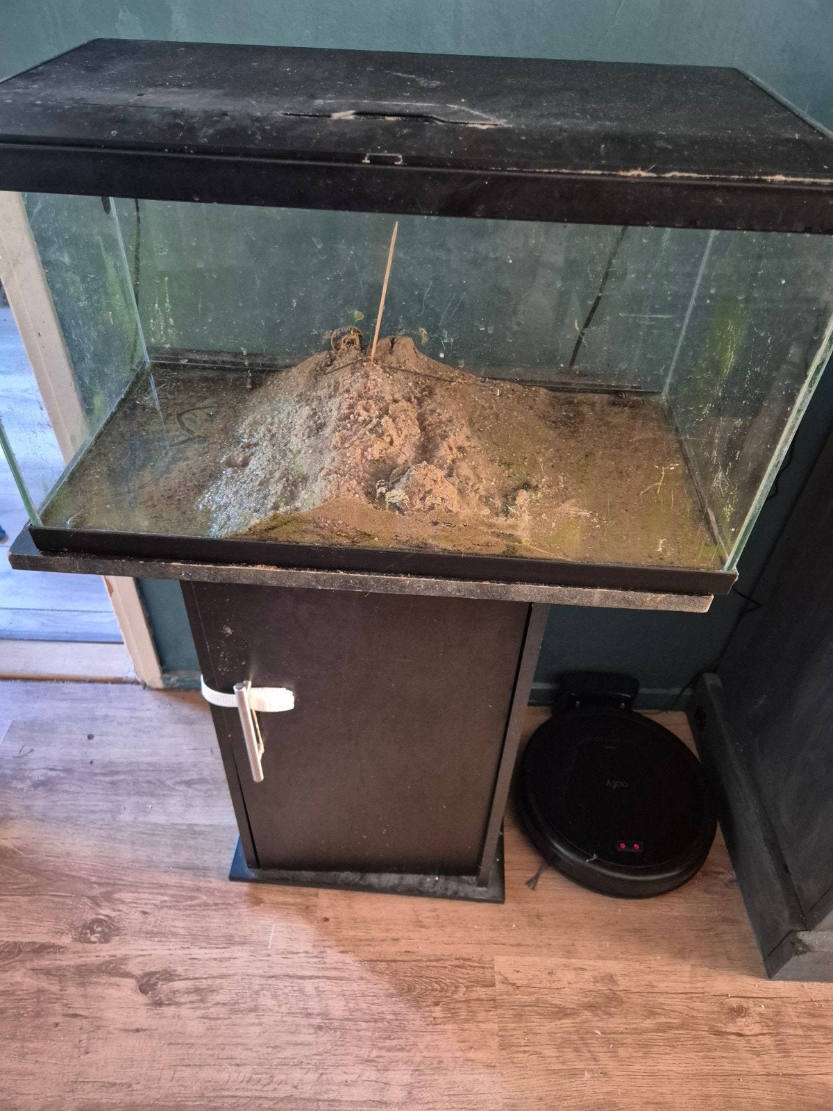 Ciano Aquarium 60 LED CF80 inclusief onderkast, zand en voed, Dieren en Toebehoren, Vissen | Aquaria en Toebehoren, Ophalen, Gebruikt