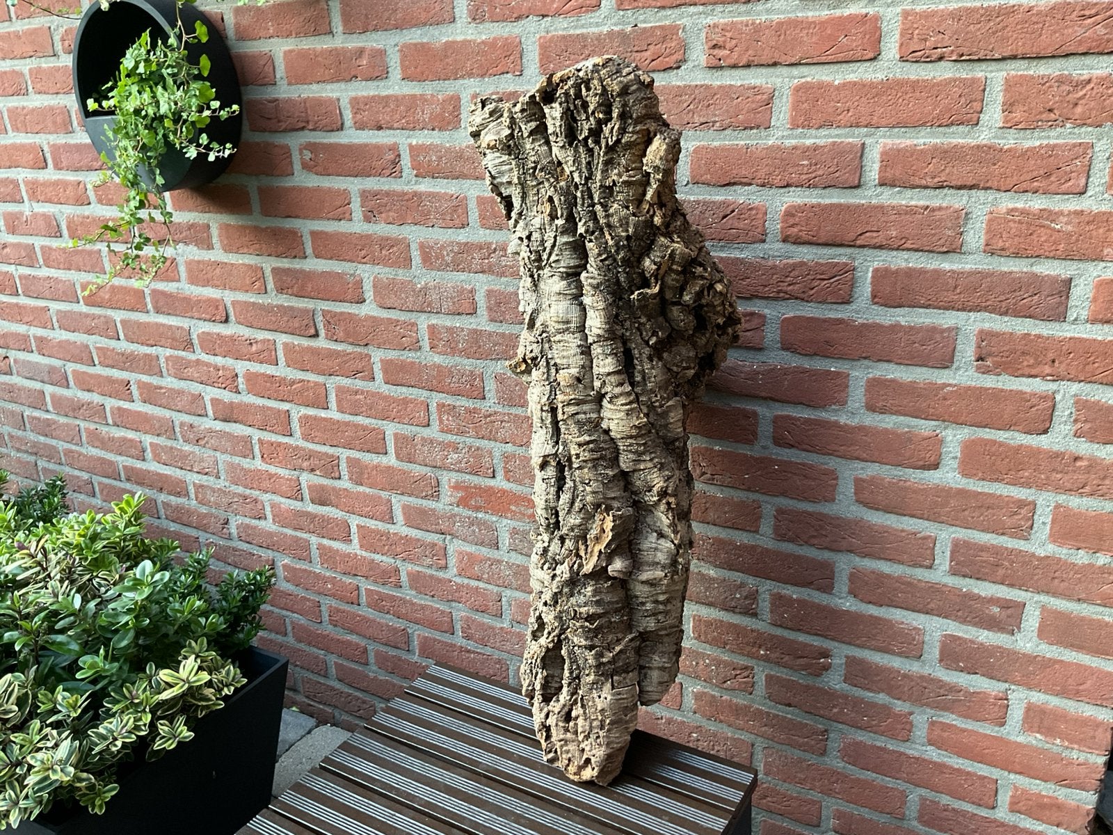 Natuurlijk kurkschors decoratie -80 cm hoog, Ophalen, Zo goed als nieuw