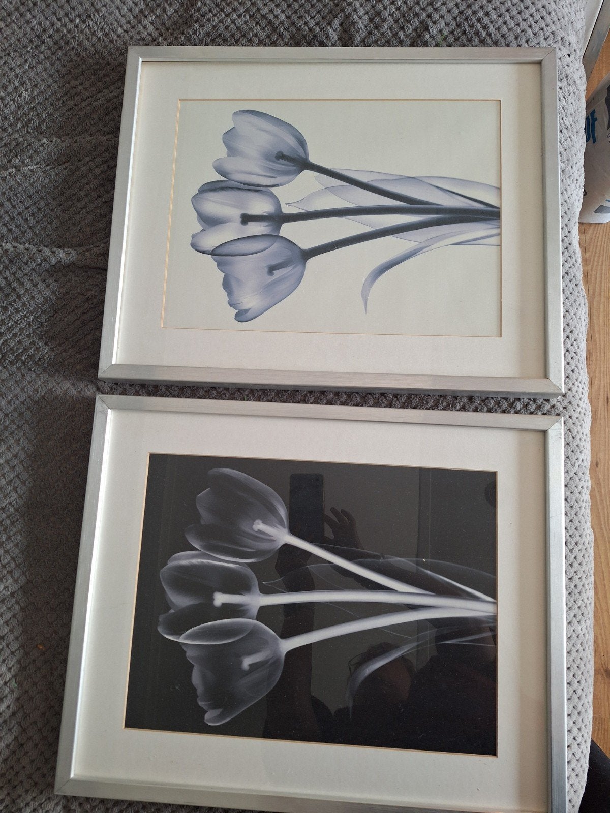 Set van 2 ingelijste tulpenprints (zwart/wit), Ophalen, 50 – 75, Gebruikt, Print