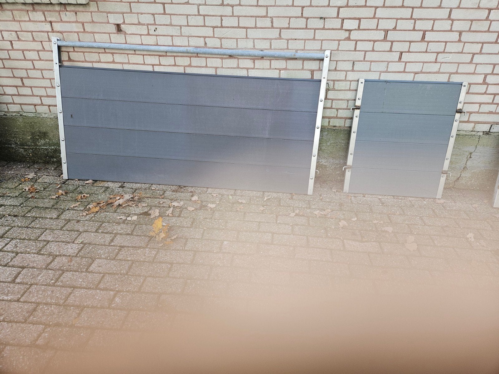 hekken, Meerdere dieren, Schaap