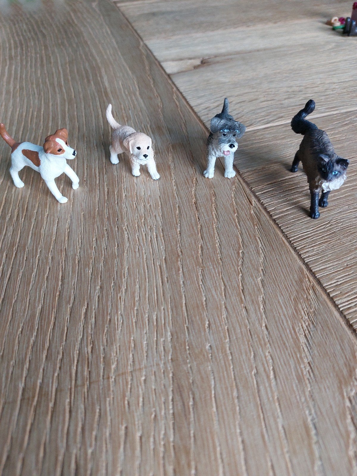 Schleich dieren setje, Ophalen of Verzenden, Zo goed als nieuw, Jongen of Meisje