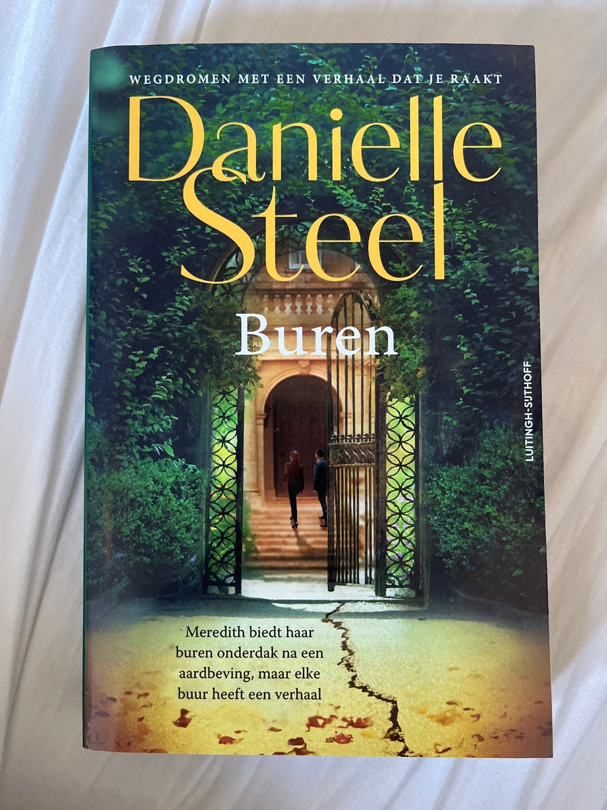 Danielle Steel - Buren, Boeken, Ophalen of Verzenden, Zo goed als nieuw, Nederland