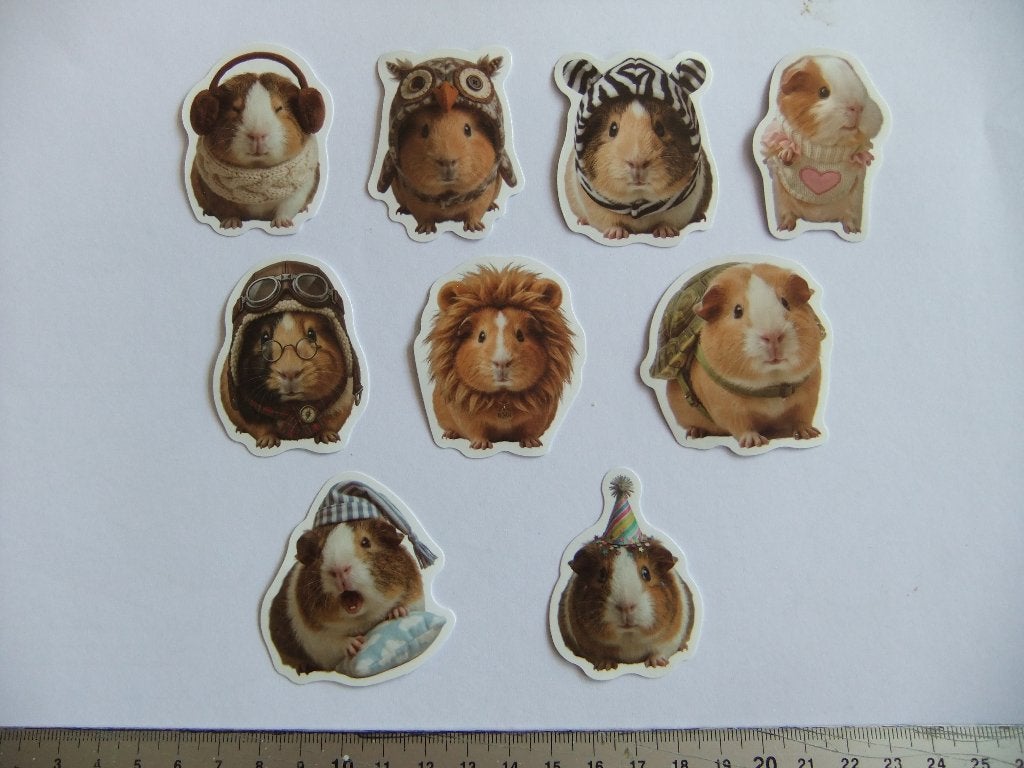 10  CAVIA  Polypropyleen stickers set 8, Verzenden