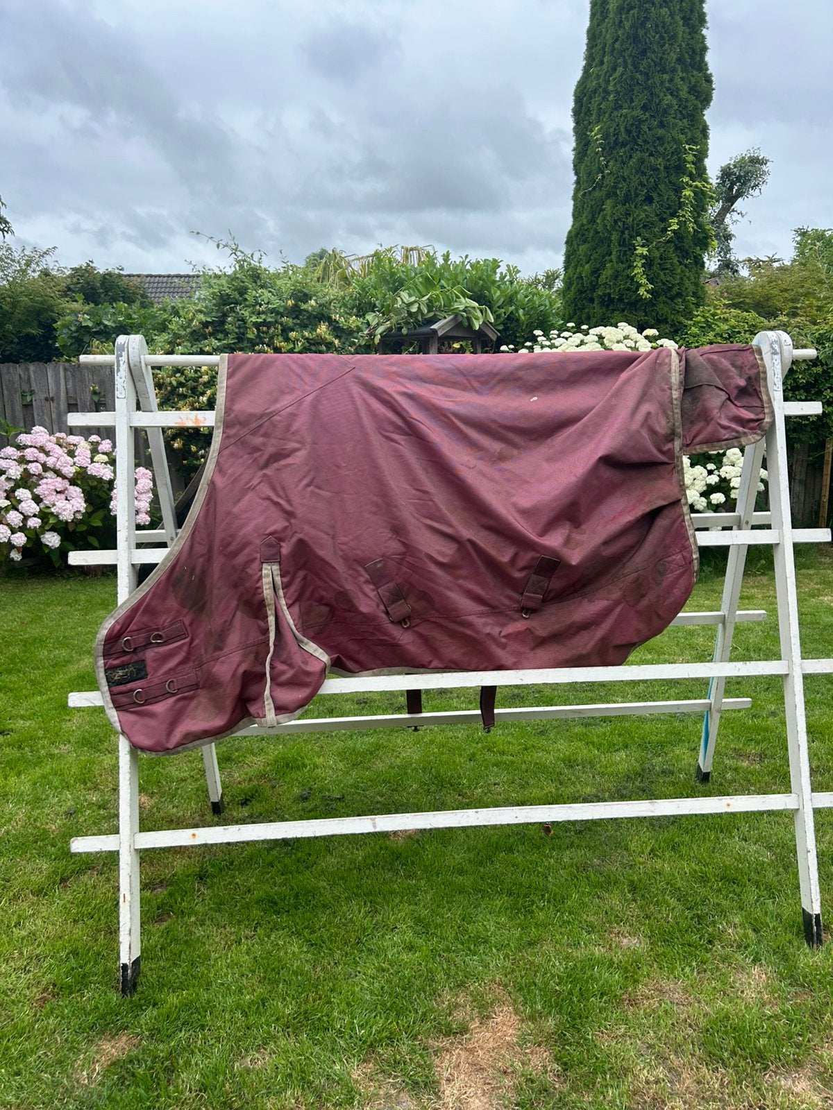 Regendeken pony, Dieren en Toebehoren, Ophalen, Gebruikt, Overige merken, Cob (M)