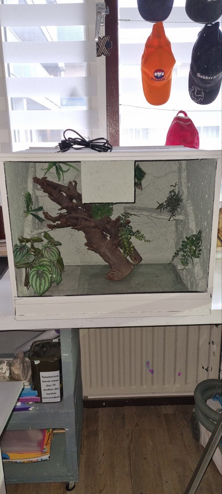 terrarium, Dieren en Toebehoren, Ophalen of Verzenden