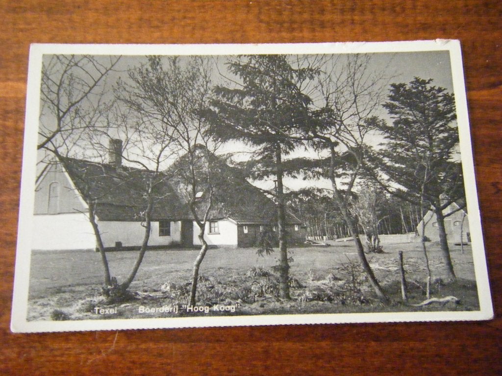 Y40 - Texel - Boerderij Hoog Koog - PRACHTIG STEMPEL, Verzamelen, Ansichtkaarten | Nederland, Ophalen of Verzenden, 1940 tot 1960