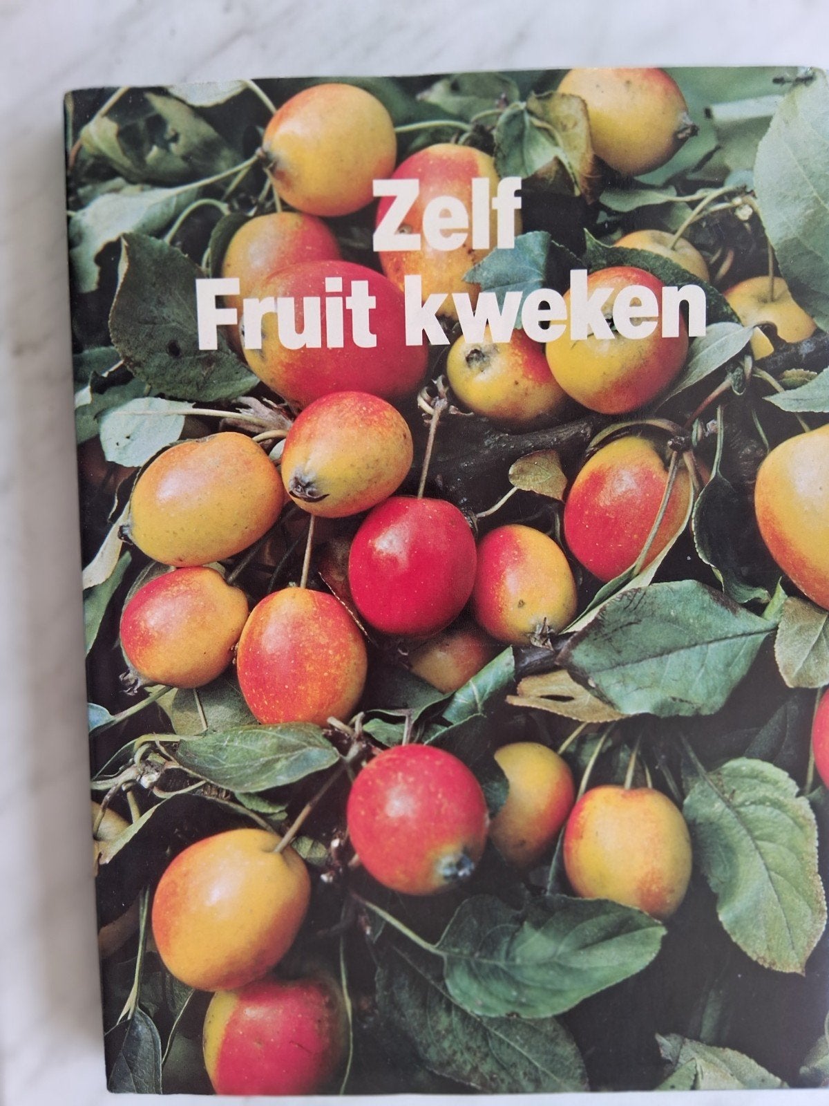 Zelf Fruit kweken, Ophalen of Verzenden, Lente