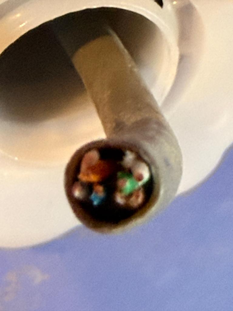 UTP CAT-6 Netwerkkabel 20 Meter - Nieuw in Doos, Ophalen, Nieuw