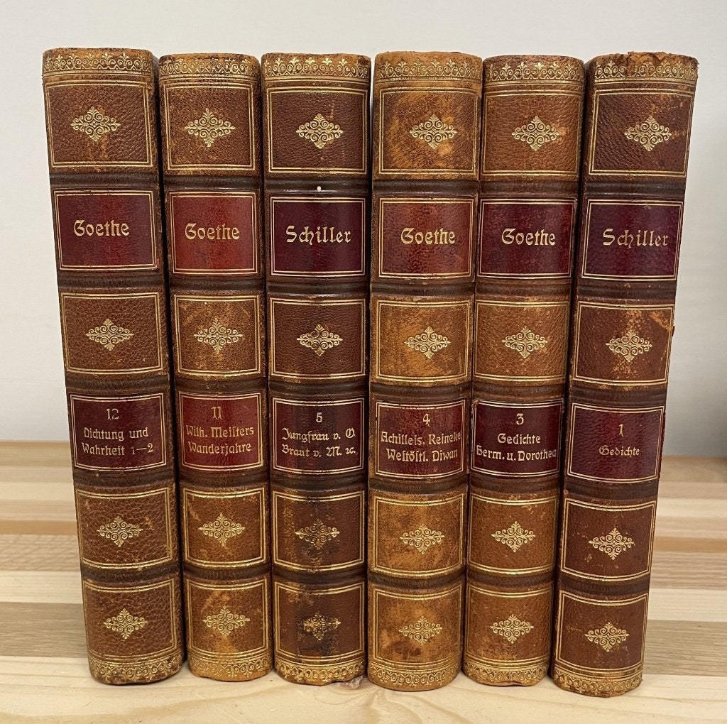 Schiller & Goethe boeken, Boeken, Ophalen of Verzenden, Gelezen