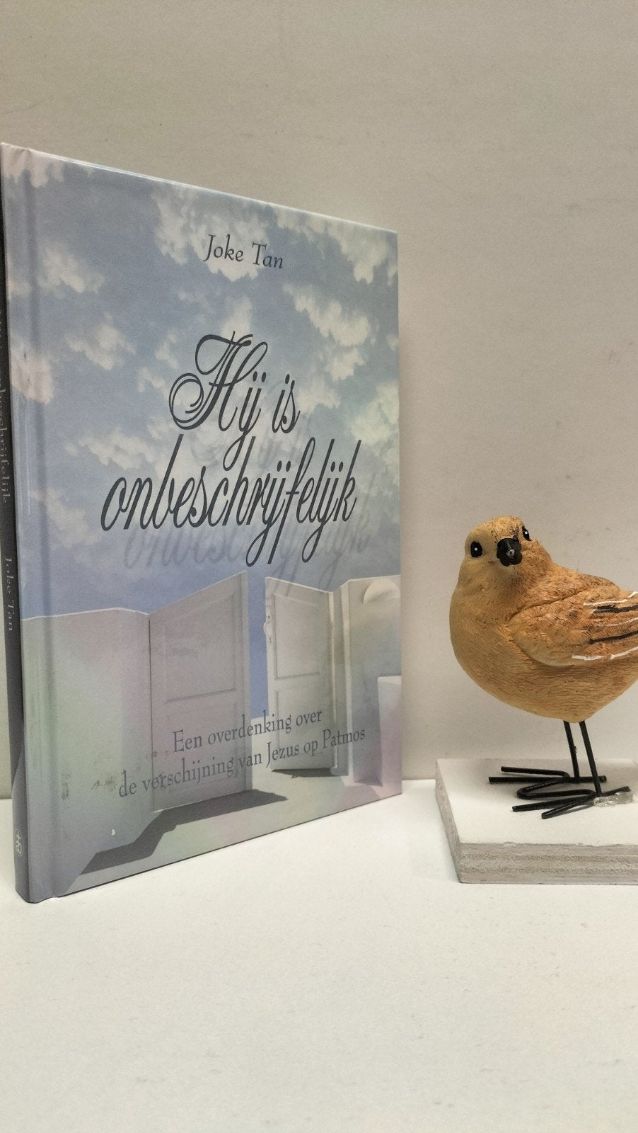 Tan, Joke; Hij is onbeschrijfelijk, Boeken, Ophalen of Verzenden, Gelezen, Christendom | Protestants