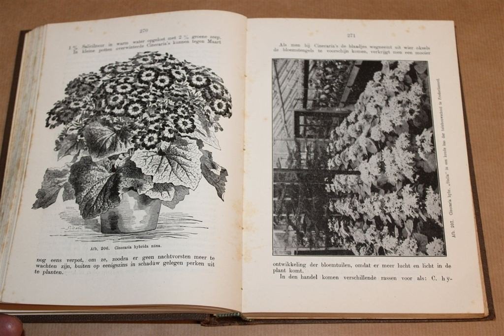 Handboek over Bloemisterij — Bleeker, Kweken en Kassen 1927, Ophalen of Verzenden, Gelezen