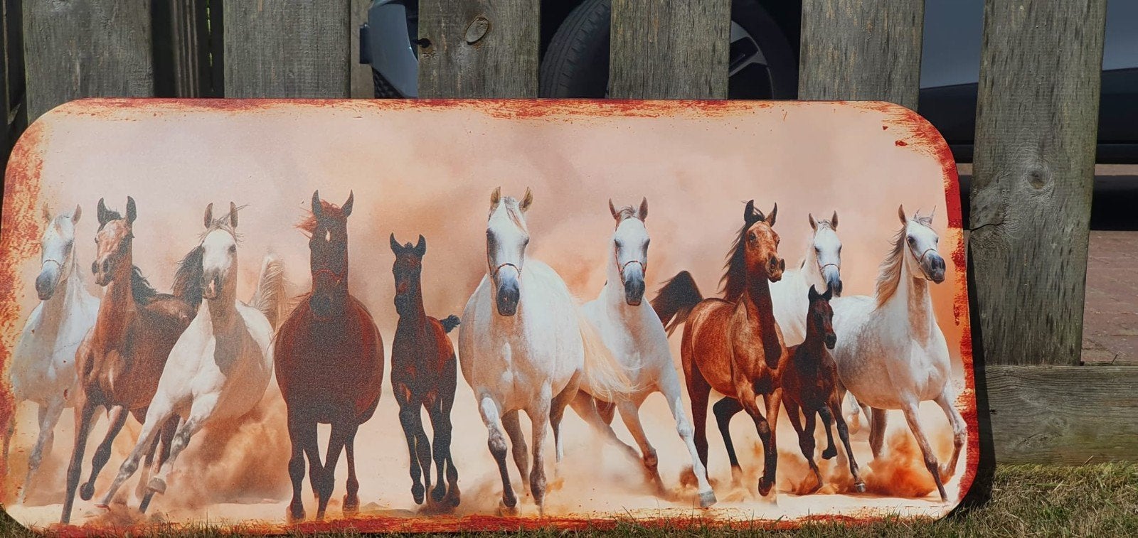Paardendecoratie. Wandbord paarden., Huis en Inrichting, Woonaccessoires | Wanddecoraties, Ophalen, Metaal, 45 cm, Zo goed als nieuw