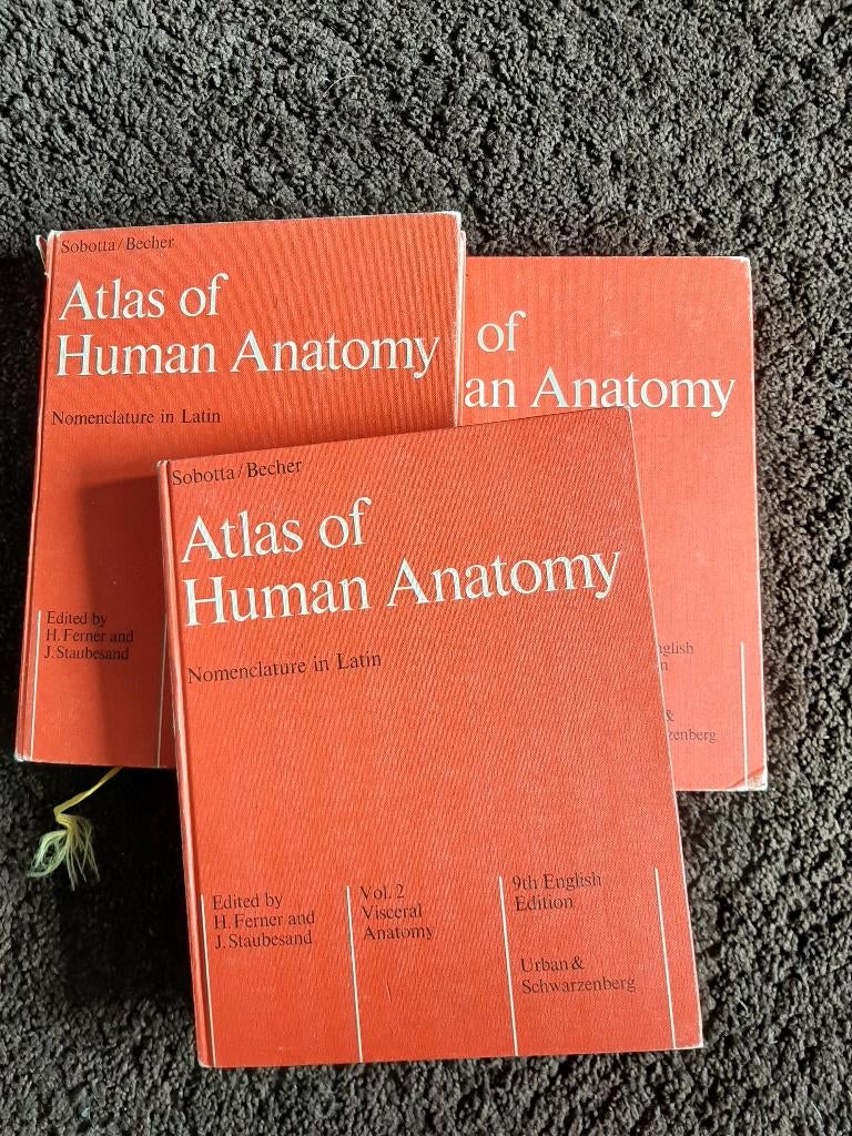 Sobotta, 3 medische atlassen in kleur, Human anatomy, Ophalen of Verzenden, Beta, Zo goed als nieuw, WO